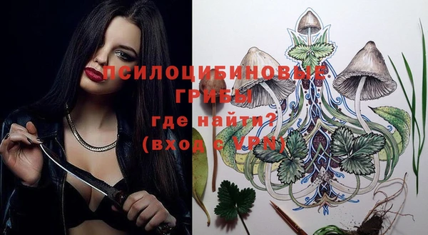 сатива Алексеевка
