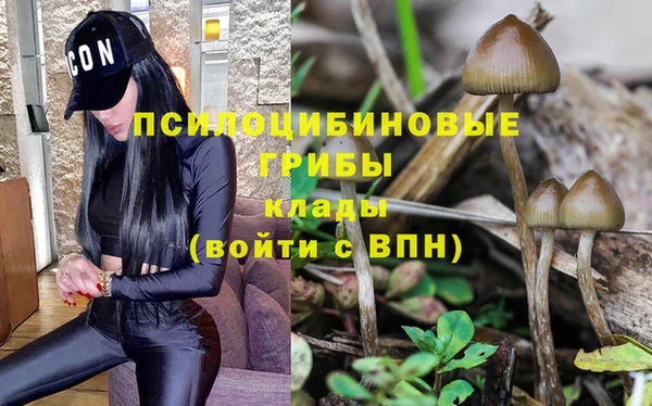 MDMA Абаза