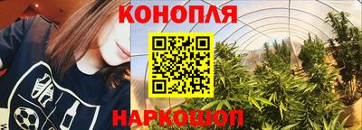 каннабис Моздок