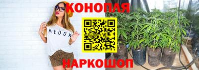 спиды Можга