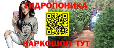 спиды Можга